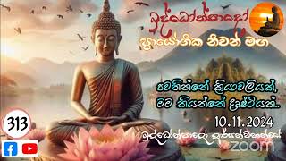 Np313- 10.11.24 දින බුද්ධෝත්පාදෝ ආර්‍යන්වහන්සේ සමග සවස 4:0 Zoom සාකච්චාව