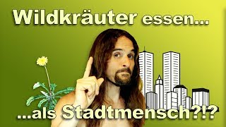 Wildkräuter essen und in der Stadt leben? 🍃 Wie kommt man als Stadtmensch an Wildpflanzen ran?