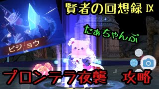 【ラグナロクオリジン】たぁちゃんぷの賢者の回想録Ⅸ〜プロンテラ夜襲〜ビジョウ攻略？