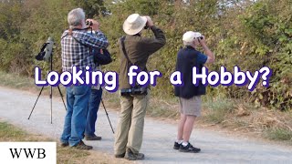 Walking with Bruce. Episode 531. How to find that perfect Hobby for you. This could be it!!