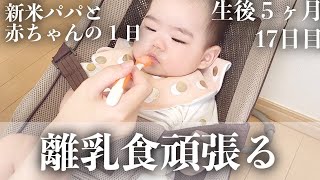 【毎日更新】離乳食に慣れ始めた日【生後5ヶ月17日目】｜赤ちゃん｜かわいい｜新米パパの奮闘記｜初育児｜A FULL DAY WITH A 5 MONTHS OLD BABY