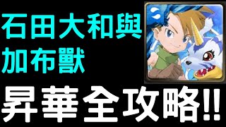 【神魔之塔】『石田大和與加布獸』昇華「1－4階」全攻略！【數碼寶貝合作】