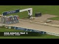 KING MEMPHIS (Trap 3) #GreyhoundDerby2024 Road to the Final