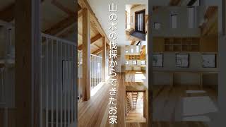 埼玉県西川材　山の木の伐採からの家づくり #希望予算で #注文住宅 #生活同線 #ハウスネットギャラリー #shorts