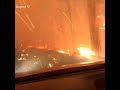 VIDEO: Boston man, dad make narrow escape from raging forest fire