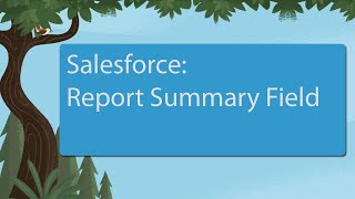 Salesforce: Report Summary Field