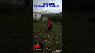 SEMINARIO SINCRONÍA DE CEREBROS. GRANADA