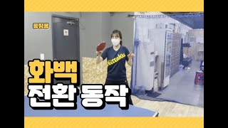 🏓 롱핌플 화백 전환하기 (feat. 롱핌플 전형, 여자 실업선출), [탁구레슨]🏓