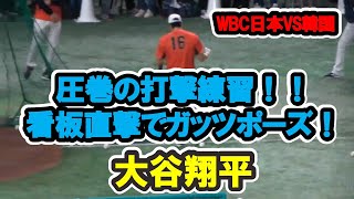 大谷翔平　圧巻の打撃練習！！　看板直撃でガッツポーズ！！　WBC　日本対韓国　2023/3/10　東京ドーム【現地映像】