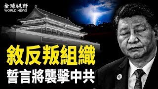 東突厥斯坦戰士協助敘利亞叛軍推翻阿薩德後，發佈視頻提及襲擊中共的計劃解救新疆維族人【全球視野】