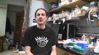 Qubit 2.0 Fluorometer: Making Sequencing "work"