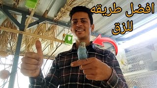 افضل وأسهل طريقه للزق صغار البادجي 🤩