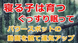 安心しておやすみ