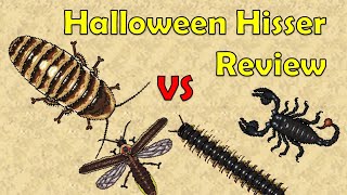 Halloween Hisser Review  - Pocket Ants - Smart Daddy