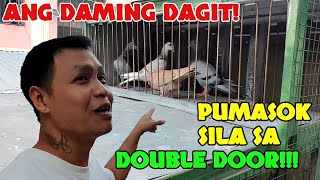 Ang daming pumasok na DAGIT sa double door!