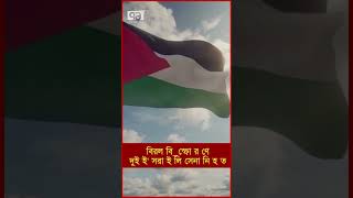 বিরল বি স্ফো র ণে দুই ই' সরা ই লি সেনা নি হ ত