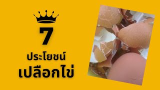 7 ประโยชน์เปลือกไข่ เอาไปใช้แบบนี้ก็ได้ด้วย