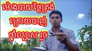 មកបាញ់ថ្នាំល្បាសដំឡូងចម្ការ💪😊