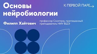 К первой паре / Основы нейробиологии. Лекция 5. Химические и электрические синапсы. Часть 1