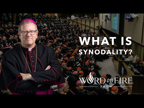 What Is Synodality Youtube
