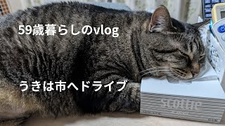 ＜59歳暮らしのvlog＞vol.8うきは市へドライブpart2/好きなミステリ作家/3coinsで買った物　#cafe #vlog #3coins