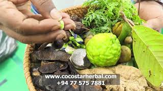 CocoStar HeCocoStar Herbal Secrets Revealed! 🌿 Natural Health Benefits You NEED to Know!rbal