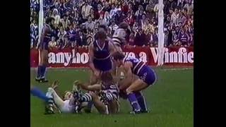 FNWB.com.au - 1983: Round 12, Footscray vs Geelong - ABC 2