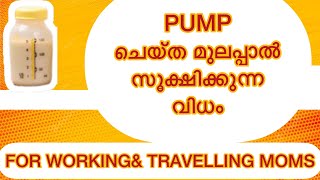 How to store pumped breastmilk?/പിഴിഞ്ഞെടുത്ത മുലപ്പാൽ എങ്ങനെ സൂക്ഷിക്കാം🍼#feeding@DR__Rushie