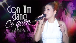 CON TIM ĐANG CỐ QUÊN - PHƯƠNG PHƯƠNG THẢO live at #Lululola