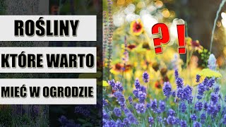 BYLINY i krzewy, które musisz mieć w ogrodzie i warzywniku - rośliny do ogrodu