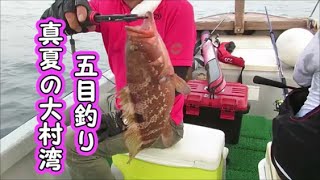 真夏の大村湾  五目釣り 真鯛 マゴチ アコウ ・・・