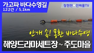 물 밖은 안개주의! 물 속은 맑음주의! 몽환적 바다수영! 창원 해양드라마세트장에서 주도마을까지 5.1km 바다수영(가고파바다수영 제12구간)