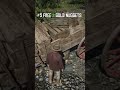 all 10 owanjila secrets in rdr2 part 1 shorts reddeadredemtion2