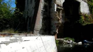 L'isola di San Giorgio in alga. Un pezzo di storia veneziana persa.