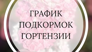 Мой график подкормок гортензии