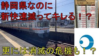 【＃軌道侍】静岡県なのに新快速が減ってキレた自治体があった【東海道線_湖西市】