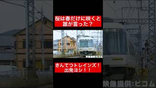 【「きんてつトレインズ！」出発ヨシ！！】近鉄電車初の公式トレーディングカード発売！！【さくらライナー】