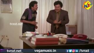 Brahmachari Mogudu Movie Comedy Scene-6 | Rajendra Prasad | Yamuna | Brahmanandam | TVNXT Comedy