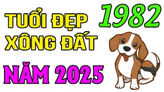 Tuổi Đẹp Xông Đất Năm 2025 Cho Gia Chủ Tuổi Nhâm Tuất 1982