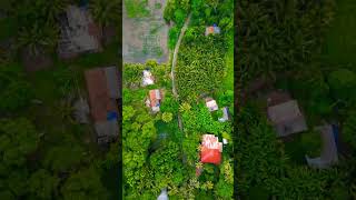 Aerial view of Pulikeezhu village in Thiruvalla Town. #nature #river #travel #pambariver