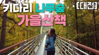 11월엔 여기가 핫플｜심지어 무료♡ 대통령도 왔다 간 장태산🍁아이들과 가기 좋은 곳 Ι 왕초보등산| 메타세콰이어 숲길 Ι 남녀노소 함께걷기 좋은곳 Ι 차렷! #가을여행