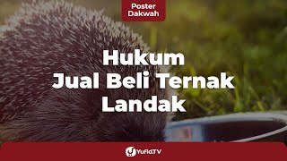 Ingin Pelihara Landak Mini? Apa Hukum Jual Beli Landak Mini dalam Islam? - Poster Dakwah Yufid TV