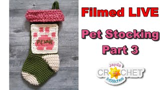 Making a Pet Christmas Stocking (Part 3) - LIVE Crochet Workshop - December 19, 2024