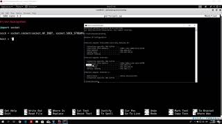Coding a simple port scanner