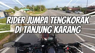 Rider Jumpa Tengkorak