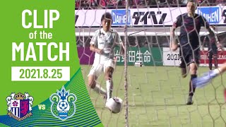 【CLIP OF THE MATCH】畑選手のスピードに乗った自陣からのドリブルから生まれた大橋選手のゴール。2度シュートブロックされるも諦めず3発目でゴール！0825C大阪vs湘南