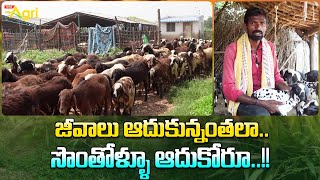 Gorrelu and Mekalu Pempakam | జీవాలు ఆదుకున్నంతలా.. సొంతోళ్ళూ ఆదుకోరూ..!! Tone Agri