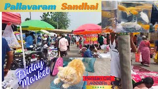 Pallavaram Friday Market | CHENNAI FRIDAY MARKET