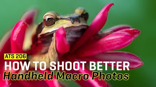 Approaching the Scene 206: How to Shoot Better Handheld Macro Photos