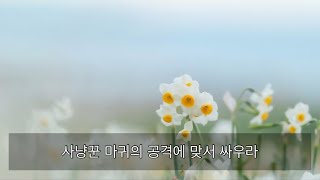 오늘의 묵상 - 사냥꾼 마귀의 공격에 맞서 싸우라